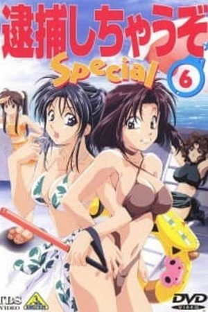 You're Under Arrest - Diverting Traffic at the Beach (1997) (DVD H265 AC3) [MDC].mkv