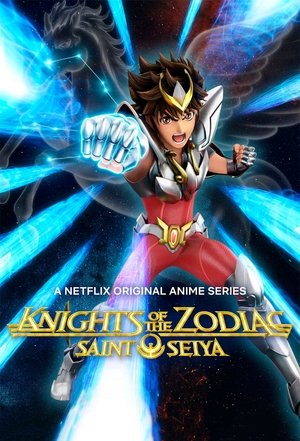 Saint Seiya - Soldiers' Soul (USA) (NPUB31729) (PS3)